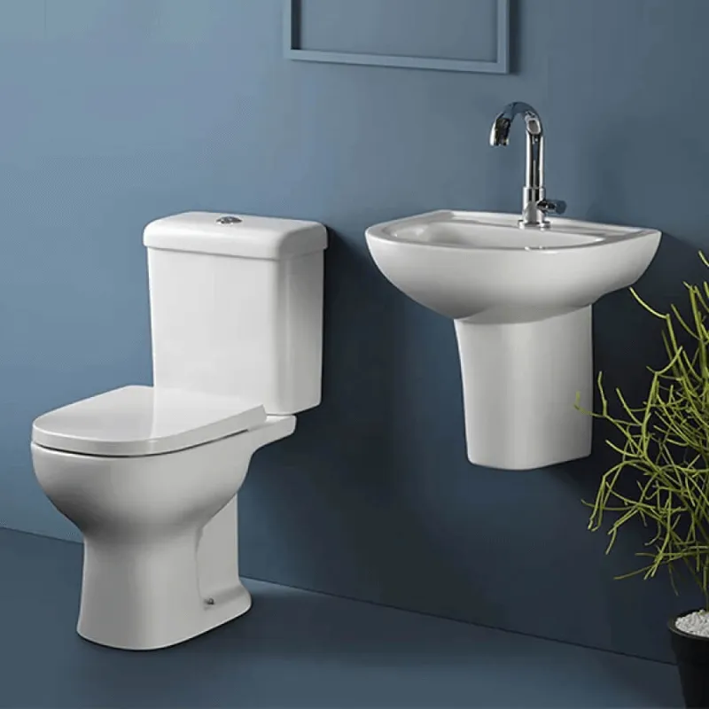 BACIA C/ CAIXA ACOPLADA BR ETNA ICASA - Imagem 2